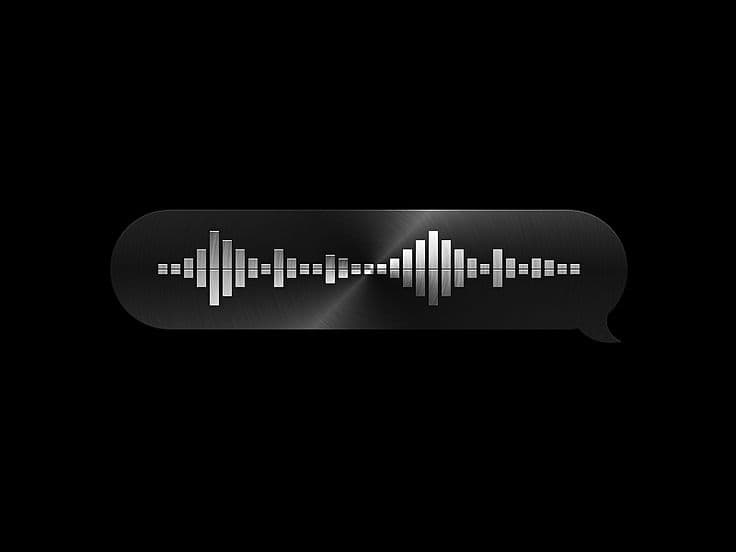 Voice ID